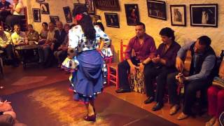 Flamenco Dance by Spanish Gypsies Part 3 [upl. by Bond992]