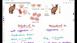 Polyclonal Vs Monoclonal antibodies [upl. by Magna]