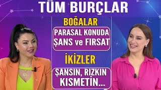 Mine Ölmez 12 Burç Yorumu BOĞALAR Parasal konuda şans fırsatlar İKİZLER Şansın Rızkın Kısmetin [upl. by Naitsyrk]