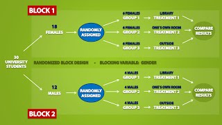 Types of Experimental Designs 33 [upl. by Citron697]