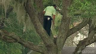 Sergio Garcia climbs a tree to hit onehanded shot at Bay Hill [upl. by Atnicaj72]