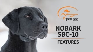 SportDOG Brand® NoBark SBC10  Features [upl. by Biancha170]