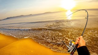 Beach Fishing Living in My Car Fishing Everyday [upl. by Jillana]