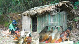 Complete walkways make tables and chairs plant vegetable gardens and take care of chickens [upl. by Alasdair540]