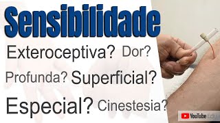 TIPOS DE SENSIBILIDADE Superficial Profunda e Especial  Prof Rogério Souza [upl. by Guillermo]