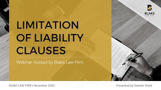 Limitation of Liability Clauses [upl. by Annnora367]