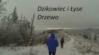 Dzikowiec i Łyse Drzewo [upl. by Weisbart95]