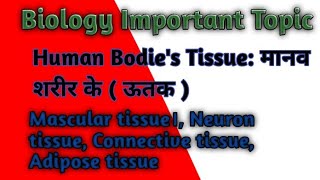 Biology Important Topic TISSUE उतक   Human bodies tissue  Biology class Tissue class [upl. by Anattar]