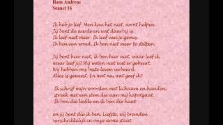 Hans Andreus  Gedicht Ik heb je lief door Tine Ruysschaert [upl. by Stanton]