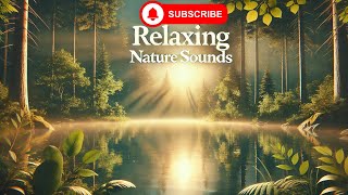 Escape the Stress Soothing Nature Sounds for Ultimate Relaxation [upl. by Liuqa]