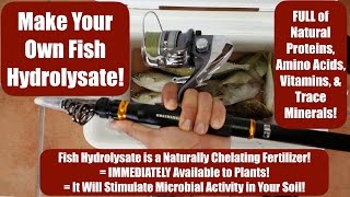 Make Your Own Fish Hydrolysate Full of Amino Acids Vitamins amp Trace Minerals for Your Soil [upl. by Dollar]