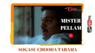 Mr Pellam Songs  Sogasu Chooda Taram  Rajendra Prasad  Aamani [upl. by Hoffmann626]