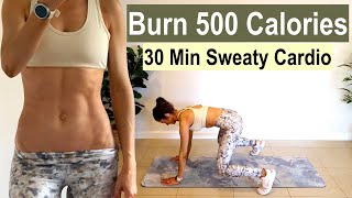 Burn 500 Calories  30 Min  Sweaty Cardio Workout  No equipment [upl. by Dercy]