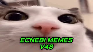 ECNEBI MEMES V48 [upl. by Brody925]