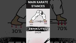 MOST IMPORTANT SHOTOKAN KARATE STANCES  karatesir karate stances [upl. by Isied727]