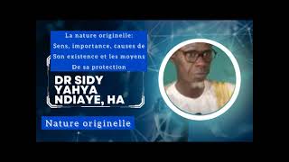 LA NATURE ORIGINELLE IMPORTANCE CAUSE DE LEXISTENCE ET  SA PROTECTION DR SIDY YAHYA NDIAYE HA [upl. by Gaeta]