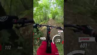 Malacosta tail divertente mountainbike mtb freeride enduro [upl. by Nile93]