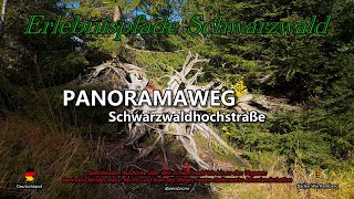 Panoramarundweg  Spektkuläre Ausblicke  Moorlandschaften  Baiersbronn  Schwarzwald  DE [upl. by Adnohsat]