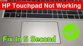 How To Fix HP Touchpad Not Working In Windows 1110  HP Laptop Touchpad Not Working Easiest Way [upl. by Ilowell355]