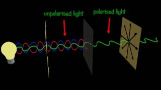 Polarization  Polarizer  Explained and animated 3d [upl. by Waldack]