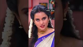 Tamil actress rare navel cleavage  SG serialactress tamiltv shortsfeed navel thoppul shorts [upl. by Yesac]