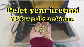 Pelet yem nedir pelet yem nasıl üretilir [upl. by Alenoel437]