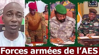 Armées de lAES  Victoires décisives en Afrique [upl. by Mosa]