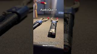 AudioAdvice Live 2024 AudioQuestUS audiophile [upl. by Melamie]