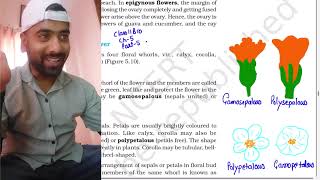 Morphology of flowering plants part 5Class 11Parts of flower  NEET AestivationPlacentation [upl. by Maryjane]