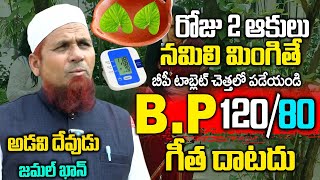 2 ఆకులు చాలు రెప్పపాటులో తగ్గి జన్మలో BP మీ గుమ్మం కూడా తొక్కలేదు  Blood Pressure  Dr Jamal Khan [upl. by Ojoj756]