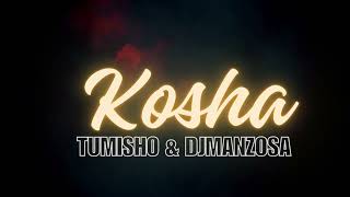 TUMISHO amp DJ MANZO SAKOSHA [upl. by Enehpets]