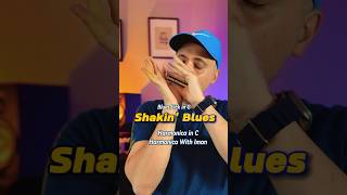 Master the Shakin Blues Harmonica Shake Technique Unveiled [upl. by Atnahsa]