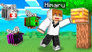 ✔50 NOVAS ABELHAS NO MINECRAFT [upl. by Ahsatsana]