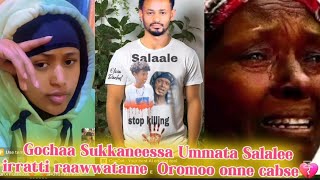 😭Gochaa Sukkaneessa Ummata Salalee irratti raawwatame Oromoo Onnee cabse 💔😭Feyise youtube [upl. by Nitsrek]