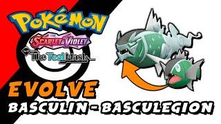 Pokemon Scarlet amp Violet The Teal Mask DLC  How To Evolve Basculin Into Basculegion [upl. by Mag88]