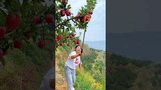 Wow such a crazy fruits and beautiful nature 😋🥝🍎🥭🍓 shorts nature fruit [upl. by Nicky]