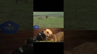 I was really drunk that day shorts animals dog viralshorts youtube [upl. by Valsimot]