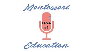 Questions About Montessori [upl. by Aiyot902]