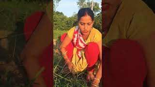 चान्द के पार चलो gorakhpuriyabhauji shortvideos shorts [upl. by Adnuahsal]