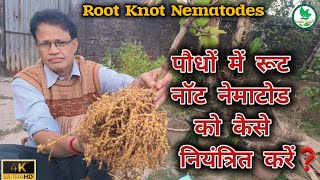 पौधे में सूत्रकृमि को कैसे नियंत्रित करें  How to control nematodes in plant [upl. by Liag]