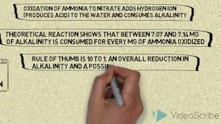 ALKALINITY DURING NITRIFICATION [upl. by Llekram374]