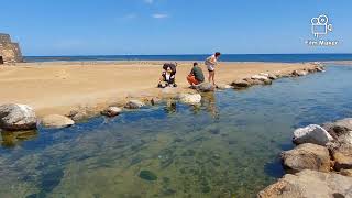 Fuerteventura Caleta de fuste beach walk [upl. by Jedd928]