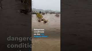 Los Angeles River rages after heavy rains hit Southern California Shorts [upl. by Bradford]