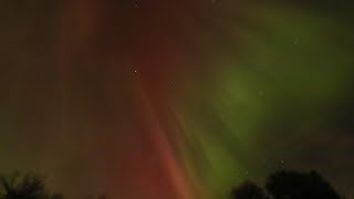 Aurora Borealis horse pasture views 😁 [upl. by Naeloj]