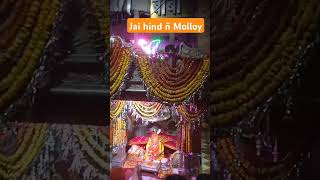 Baba ramdevramdevraradheradhe radhekrishnayoutube rajasthani bhakti shortvideo youtube [upl. by Anoo]