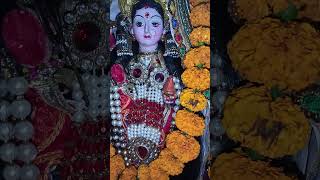 Durga hai meri man Ambe hai meri man Mata Rani bhajan short video [upl. by Moishe861]