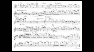 Bartok B mvt1 1st violin concerto [upl. by Akehsal]