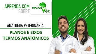 Anatomia Veterinária  Planos e Eixos amp Termos Anatômicos [upl. by Tenenbaum716]