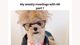 My weekly meetings with HR part 7 [upl. by Bradeord]