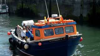 Seahouses Farne Island Boat trip May 2023 [upl. by Hannie]